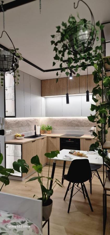 Magic House Apartament Proszowska 58 II Bochnia Zewnętrze zdjęcie