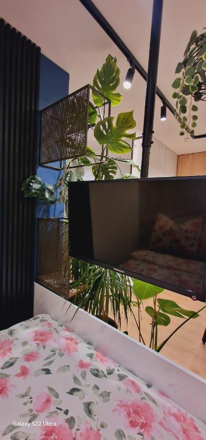 Magic House Apartament Proszowska 58 II Bochnia Zewnętrze zdjęcie